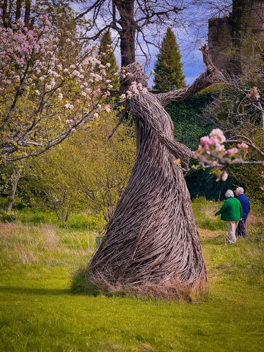 The Willow Queen of Falkland Palace